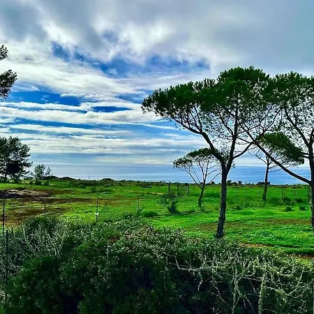 Ocean View Architectural Modern