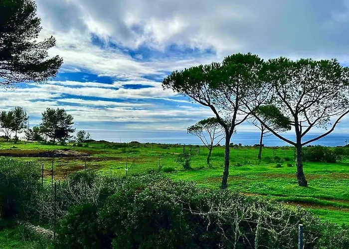 Ocean View Architectural Modern