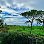 Ocean View Architectural Modern