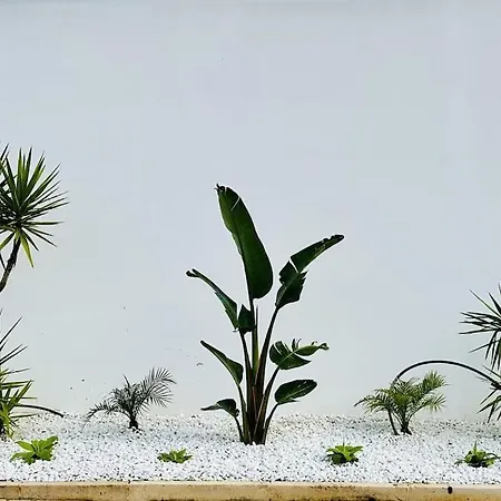 Villa Ocean View Architectural Modern Burgau