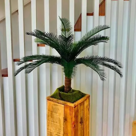 Ocean View Architectural Modern