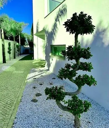 Ocean View Architectural Modern Бургау