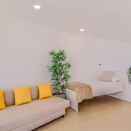 Ocean View Architectural Modern 布尔高